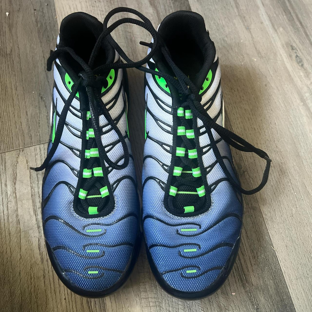 Nike Air Max Plus TN in blue and green